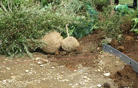 造園 - 一般住宅